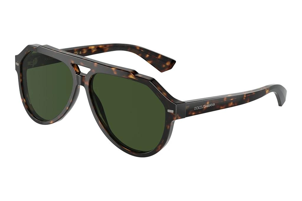 Dolce & Gabbana   DG4452 502/71 Dark GreenHavana