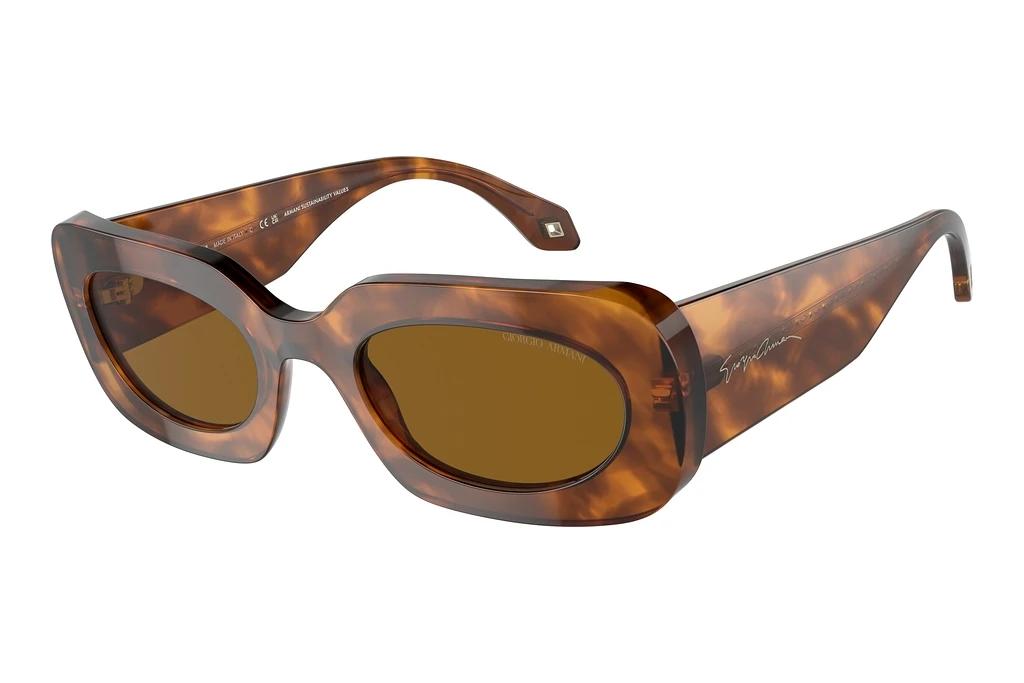 Giorgio Armani   AR8182 598833 BrownRed Havana