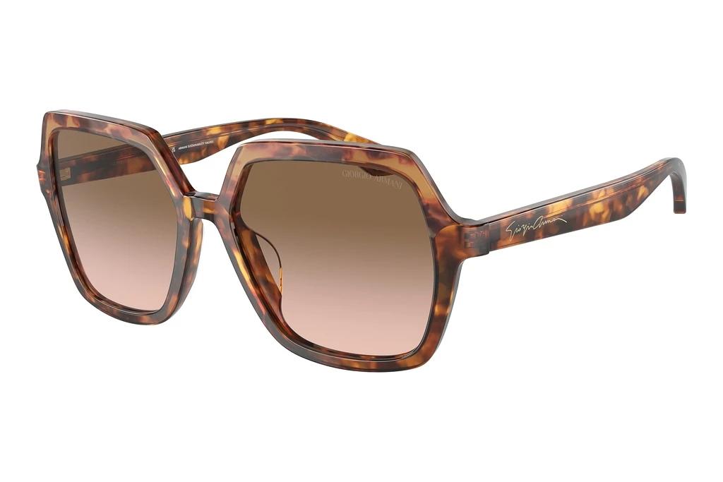 Giorgio Armani   AR8193U 603351 Brown GradientOrange Havana/Red Havana