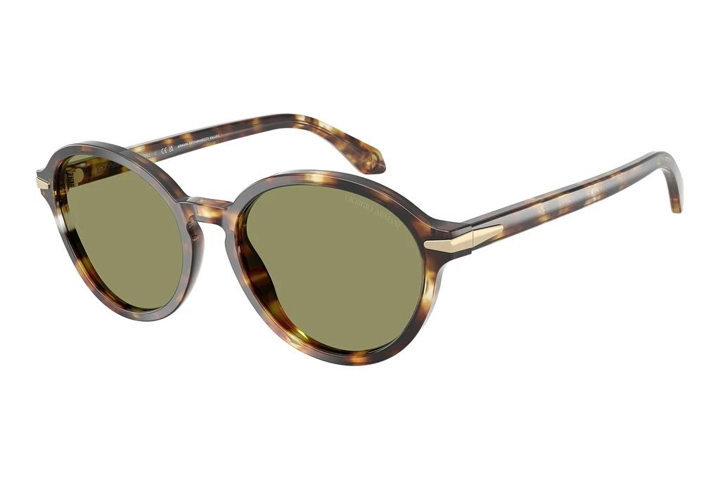 Giorgio Armani   AR8237 623214 GreenHavana Gialla