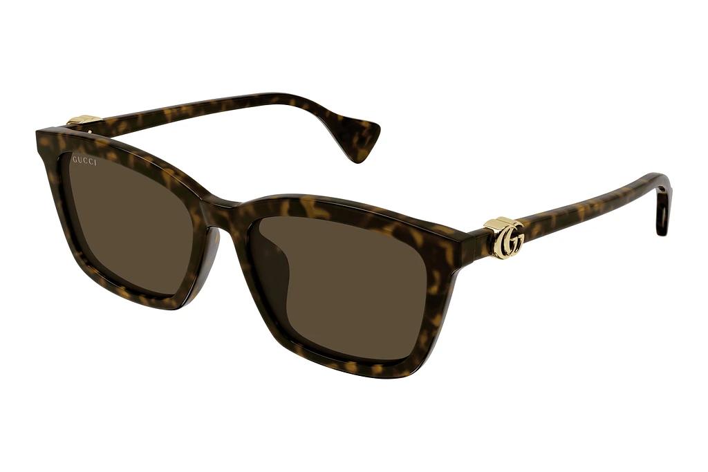 Gucci   GG1596SK 003 HAVANA
