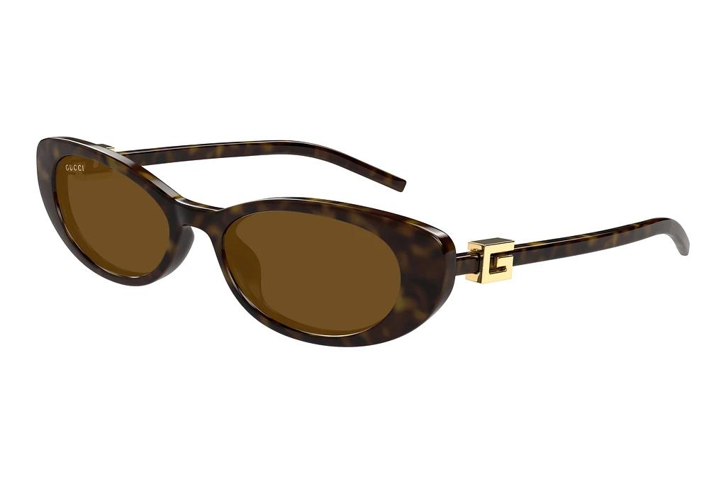 Gucci   GG1680S 004 HAVANA
