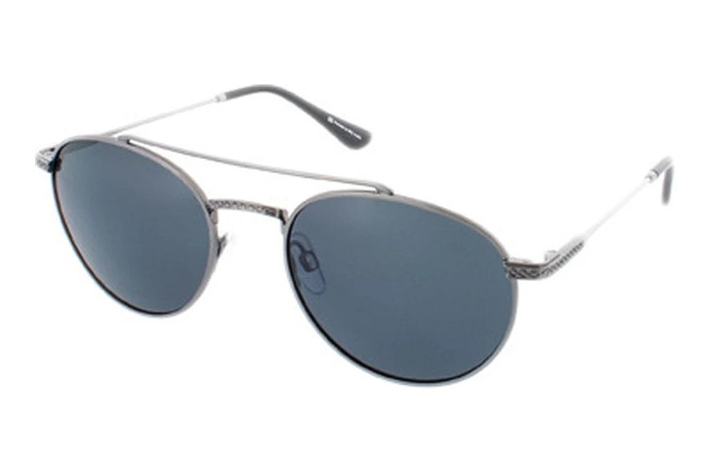 HIS Eyewear   HP74108 3 grey POLgun