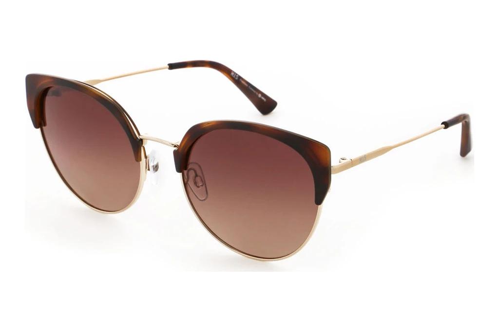 HIS Eyewear   HPS34107 2 brown gradientdemi