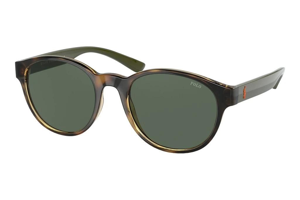 Polo   PH4176 500371 Dark GreenShiny Havana