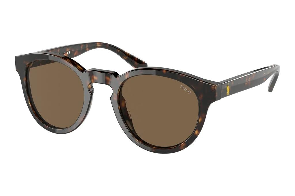 Polo   PH4184 500373 BrownShiny Dark Havana