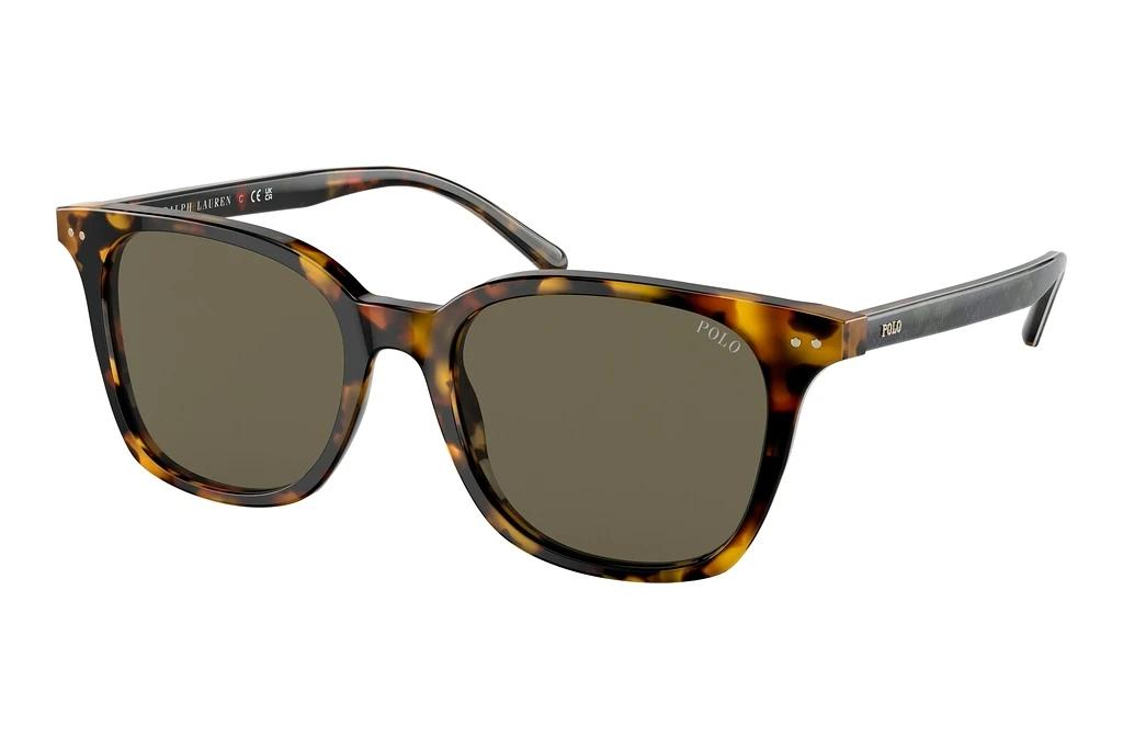 Polo   PH4187 5309/3 BrownShiny Antique Tortoise