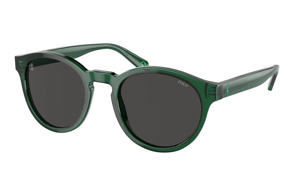 Polo   PH4192 608487 Dark GreyShiny Transparent Green