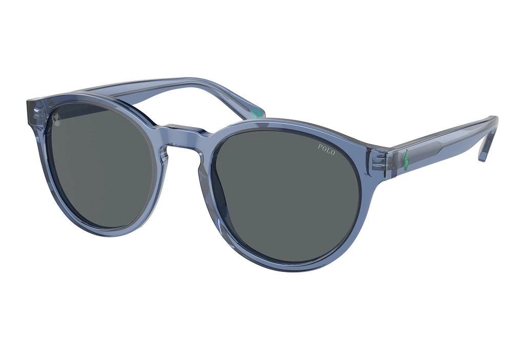 Polo   PH4192 609287 Light GreyShiny Transparent Blue