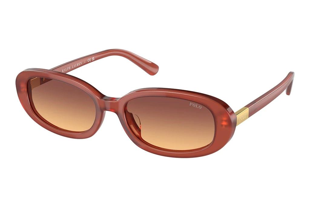 Polo   PH4198U 619478 Orange Gradient VioletOpal Cognac