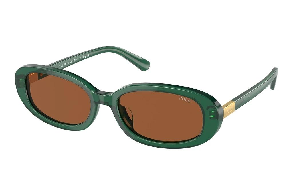 Polo   PH4198U 619573 BrownShiny Transparent Green