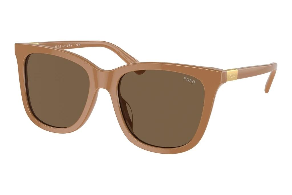Polo   PH4201U 619673 Dark BrownShiny Brown