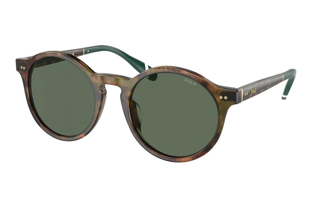 Polo   PH4204U 501771 Bottle GreenShiny Brown Tortoise