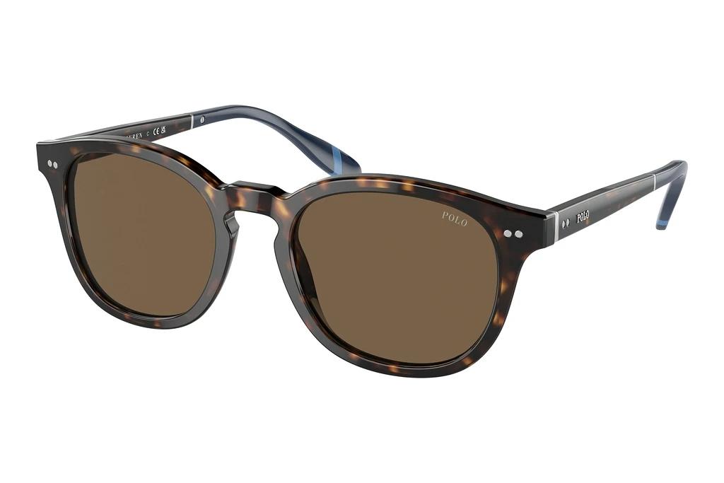 Polo   PH4206 500373 BrownShiny Dark Havana