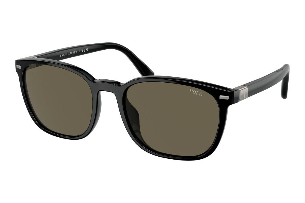 Polo   PH4208U 5001/3 BrownShiny Black