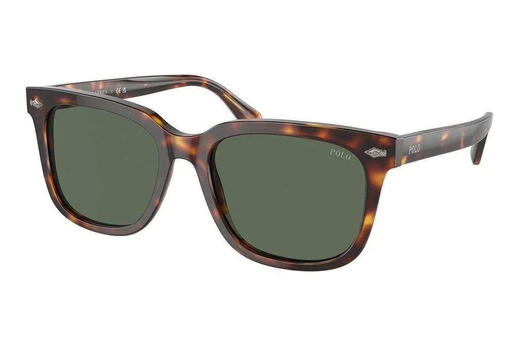 Polo   PH4210 613771 Bottle GreenShiny Brown Tortoise
