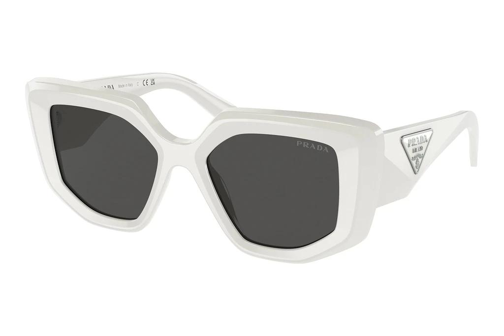 Prada   PR 14ZS 1425S0 Dark GreyTalc