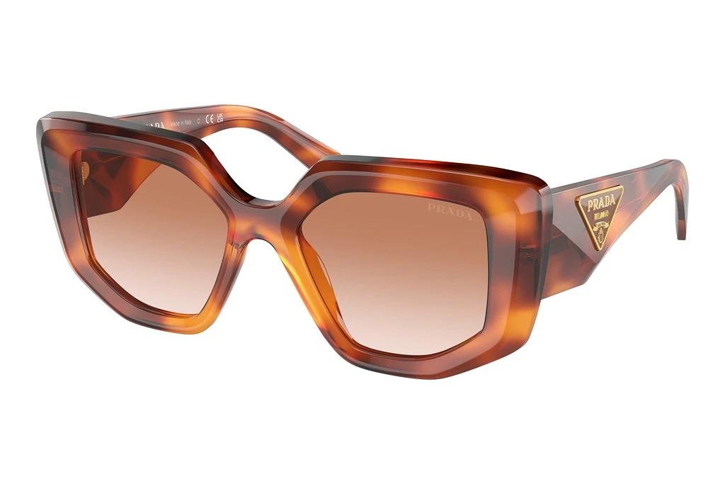 Prada   PR 14ZS 18R70E Brown GradientCognac Tortoise