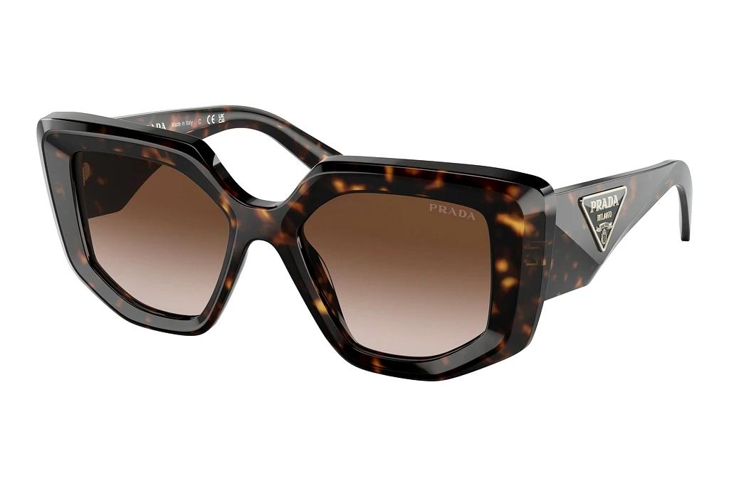 Prada   PR 14ZS 2AU6S1 Brown GradientTortoise
