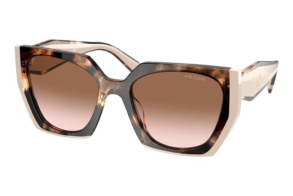 Prada   PR 15WS 01R0A6 Brown GradientTortoise Caramel/Powder