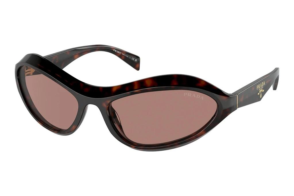 Prada   PR A20S 17N10D Light BrownRoot Tortoise