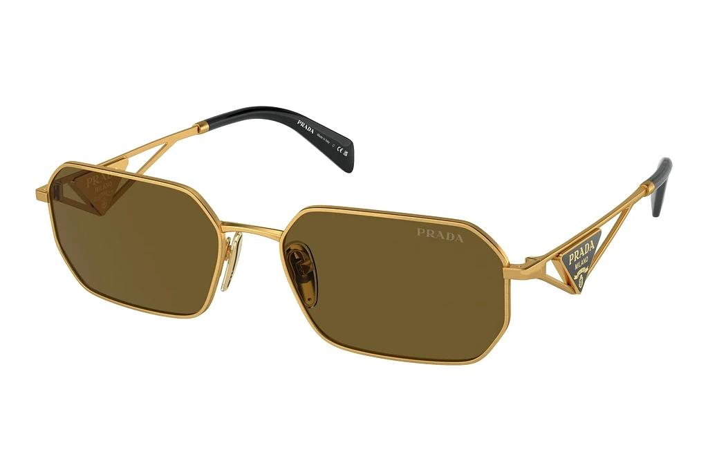 Prada   PR A51S 15N01T Dark BrownMatte Gold