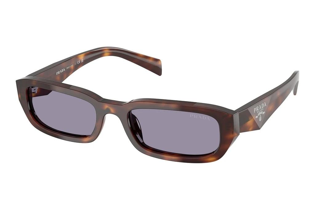 Prada   PR B06S 15W03N GreyClassic Tortoise