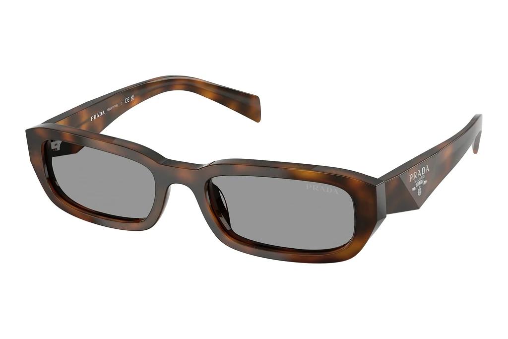 Prada   PR B06S 20D50Q GreyJuniper Tortoise