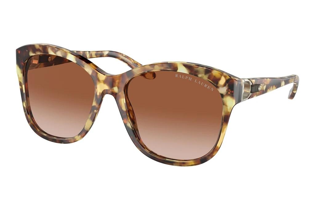 Ralph Lauren   RL8190Q 605613 Gradient BrownHavana
