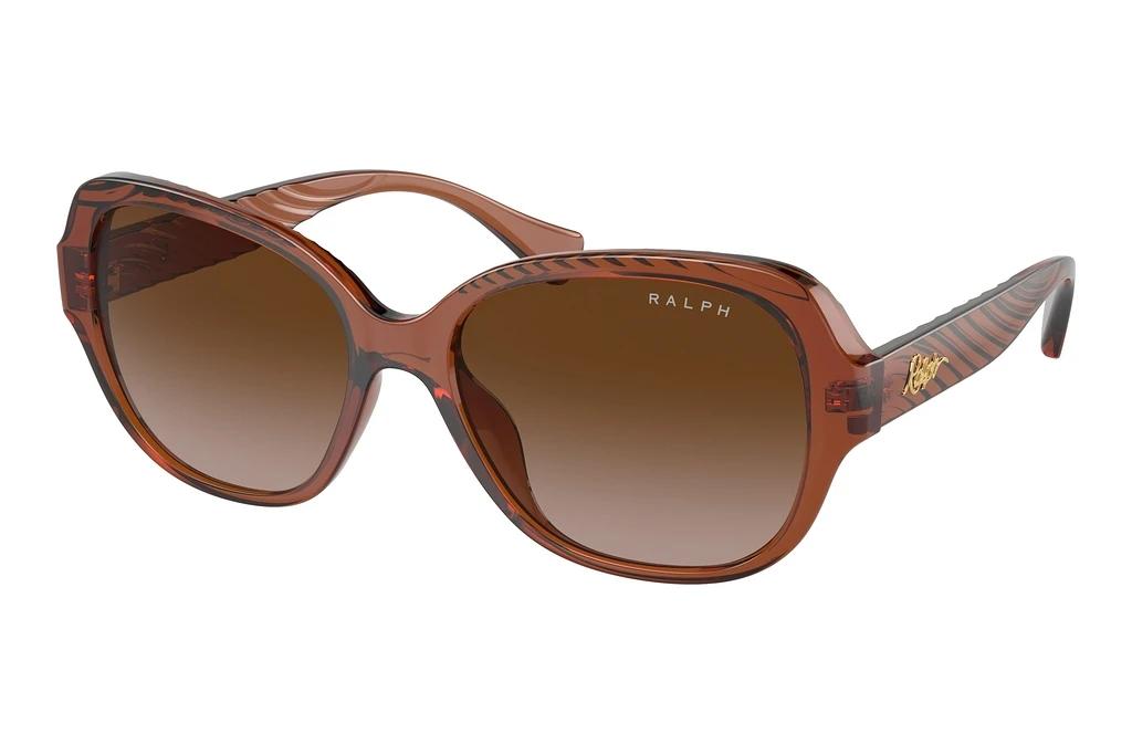 Ralph   RA5316U 614913 Gradient BrownShiny Dark Havana