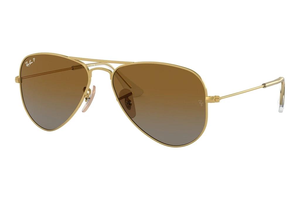 Ray-Ban Kids   RJ9506S 223/T5 BrownArista Gold