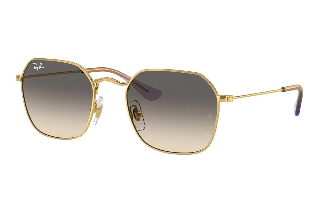 Ray-Ban Kids   RJ9594S 292/11 GreyArista Gold