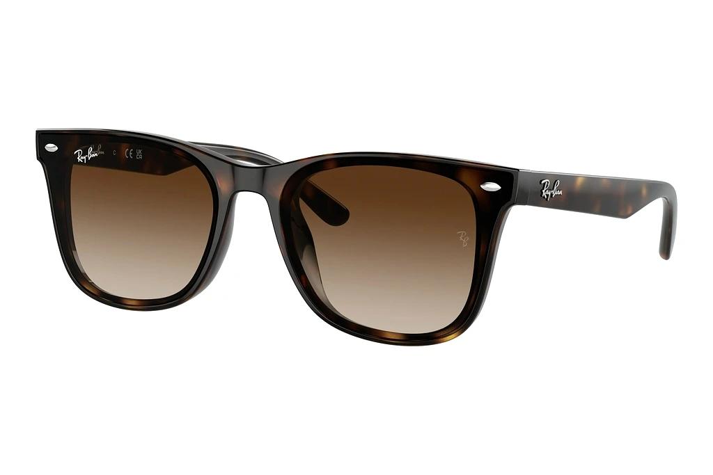 Ray-Ban   RB4420 710/13 BrownHavana