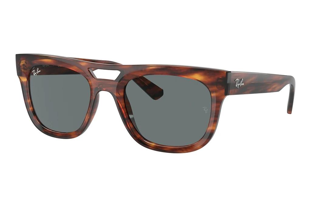 Ray-Ban   RB4426 139880 Dark BlueStriped Havana