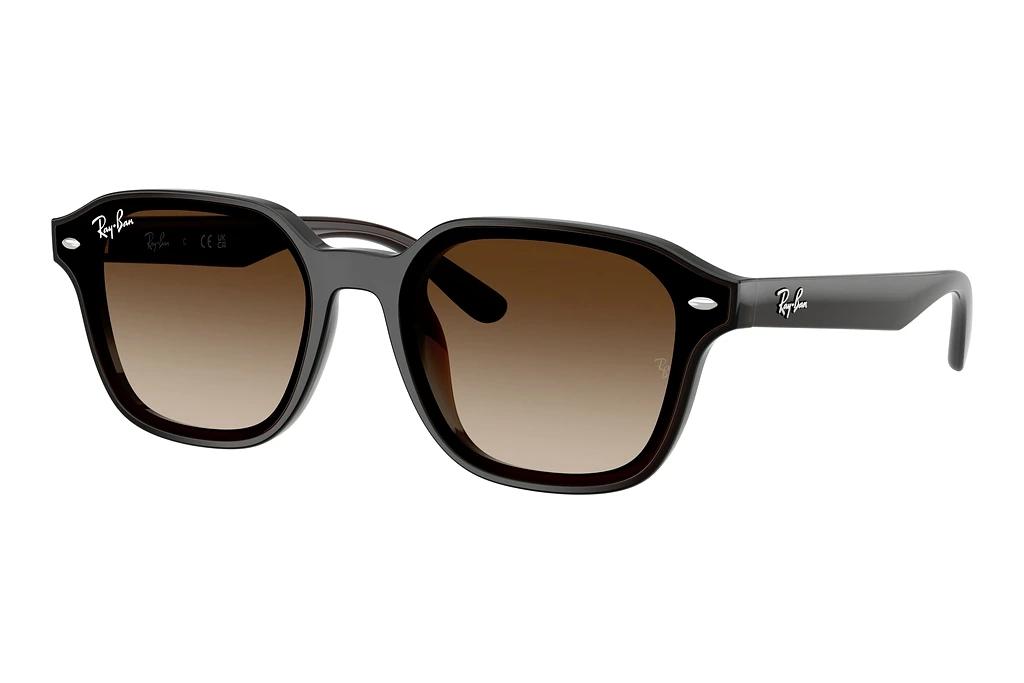 Ray-Ban   RB4458D 714/13 Gradient BrownTransparent Dark Brown