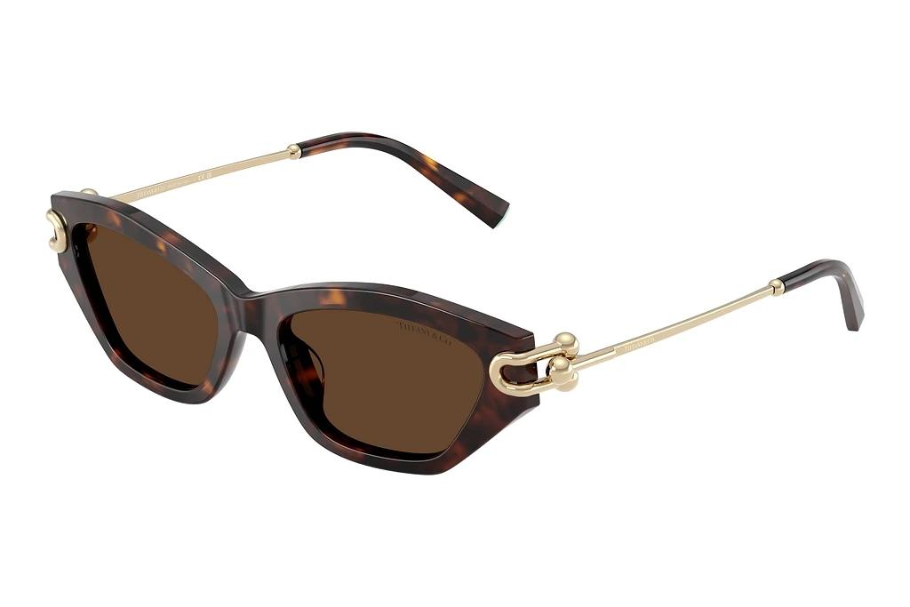 Tiffany   TF4231U 80153G Light BrownHavana