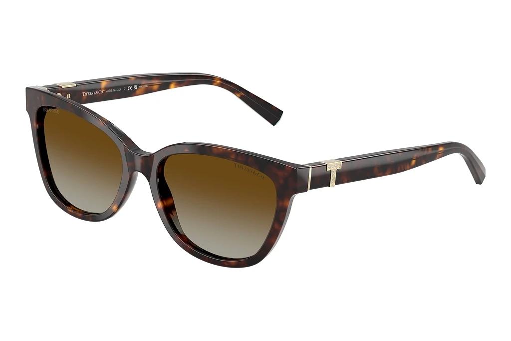 Tiffany   TF4237B 8015T5 Polar Brown GradientHavana