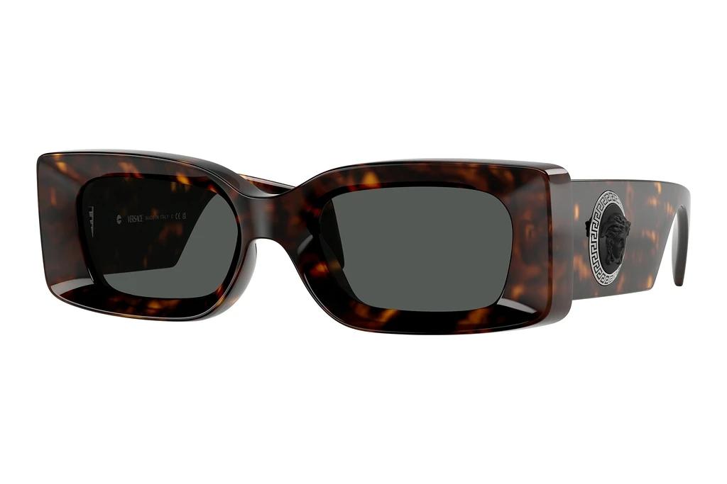 Versace   VE4474U 108/87 Dark GreyHavana