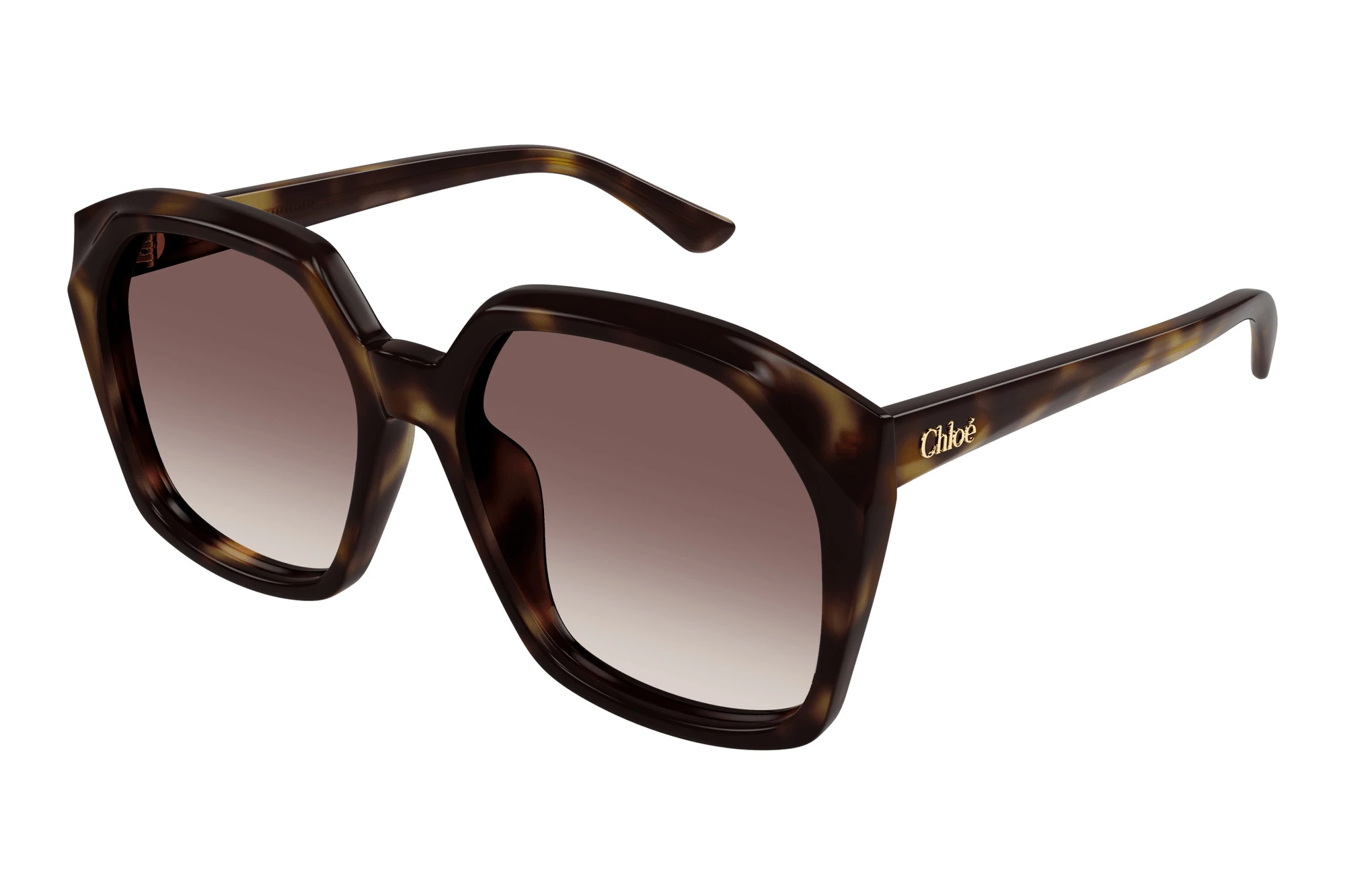 Chloé   CH0280S 006 HAVANA
