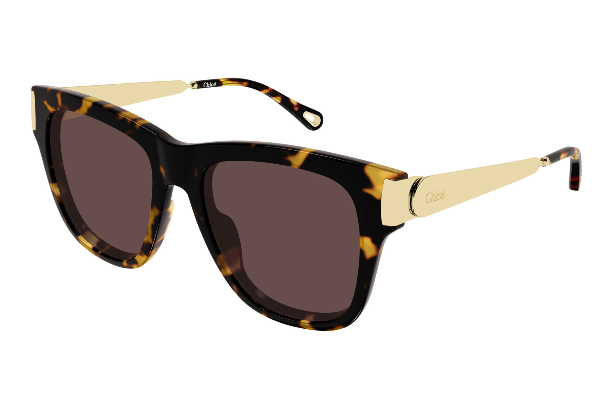 Chloé   CH0349S 003 HAVANA