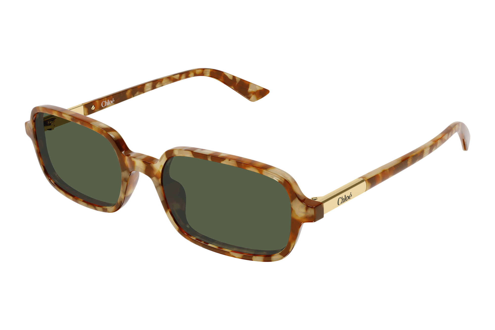 Chloé   CH0363S 003 HAVANA