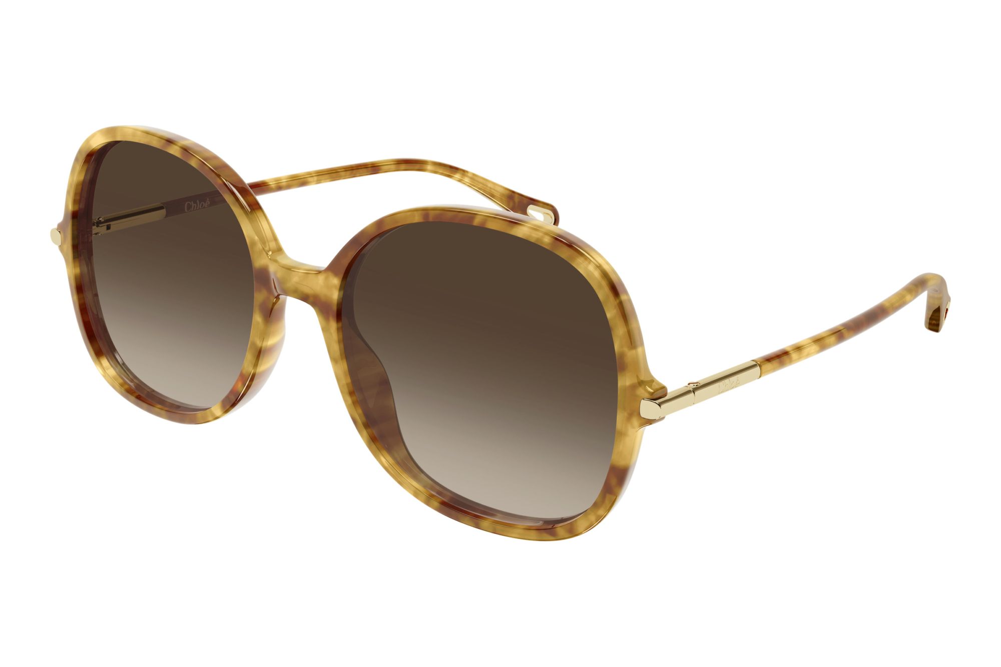 Chloé   CH0383S 002 HAVANA