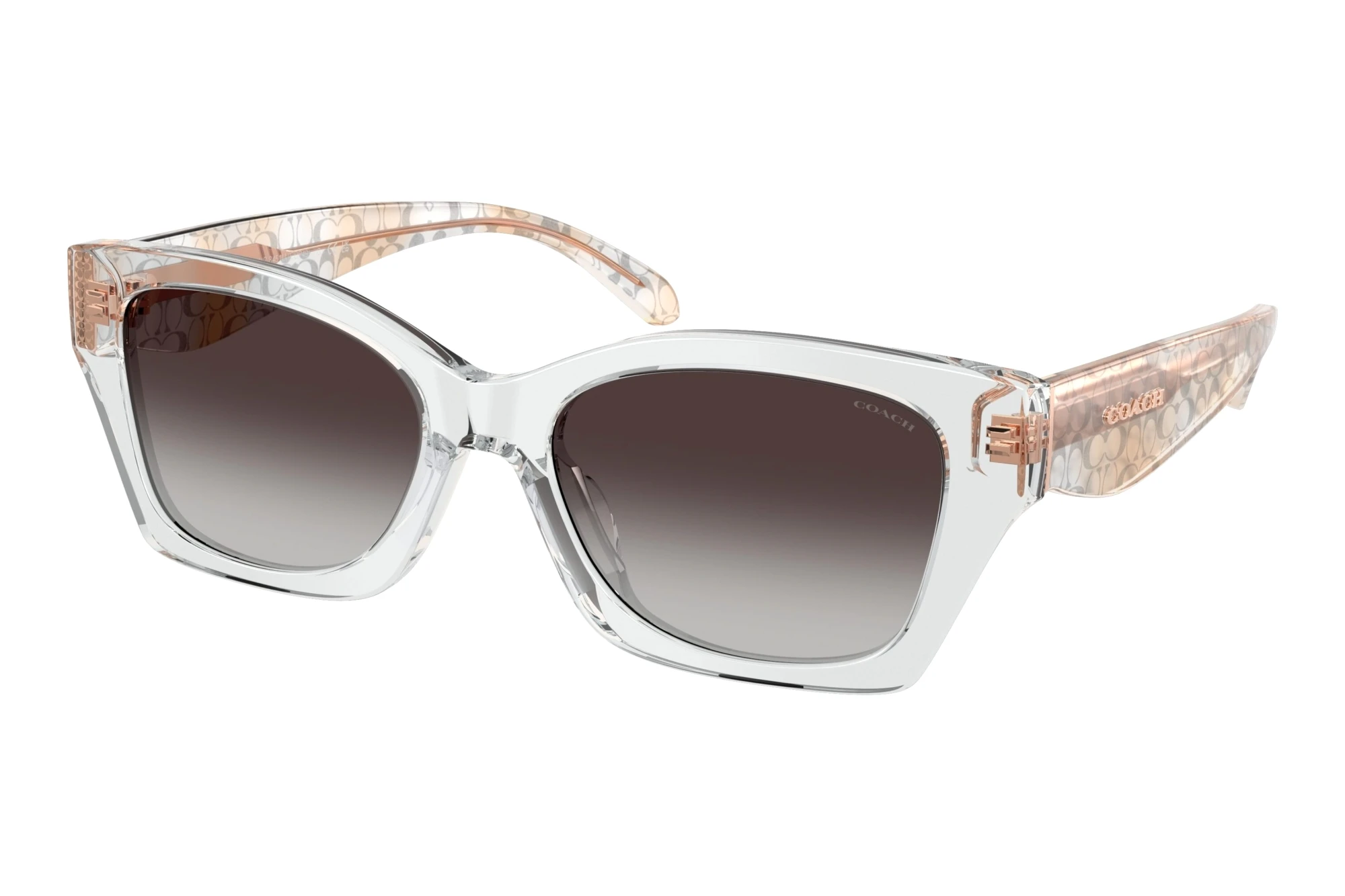Coach   HC8451U 59358G Grey GradientTransparent Grey