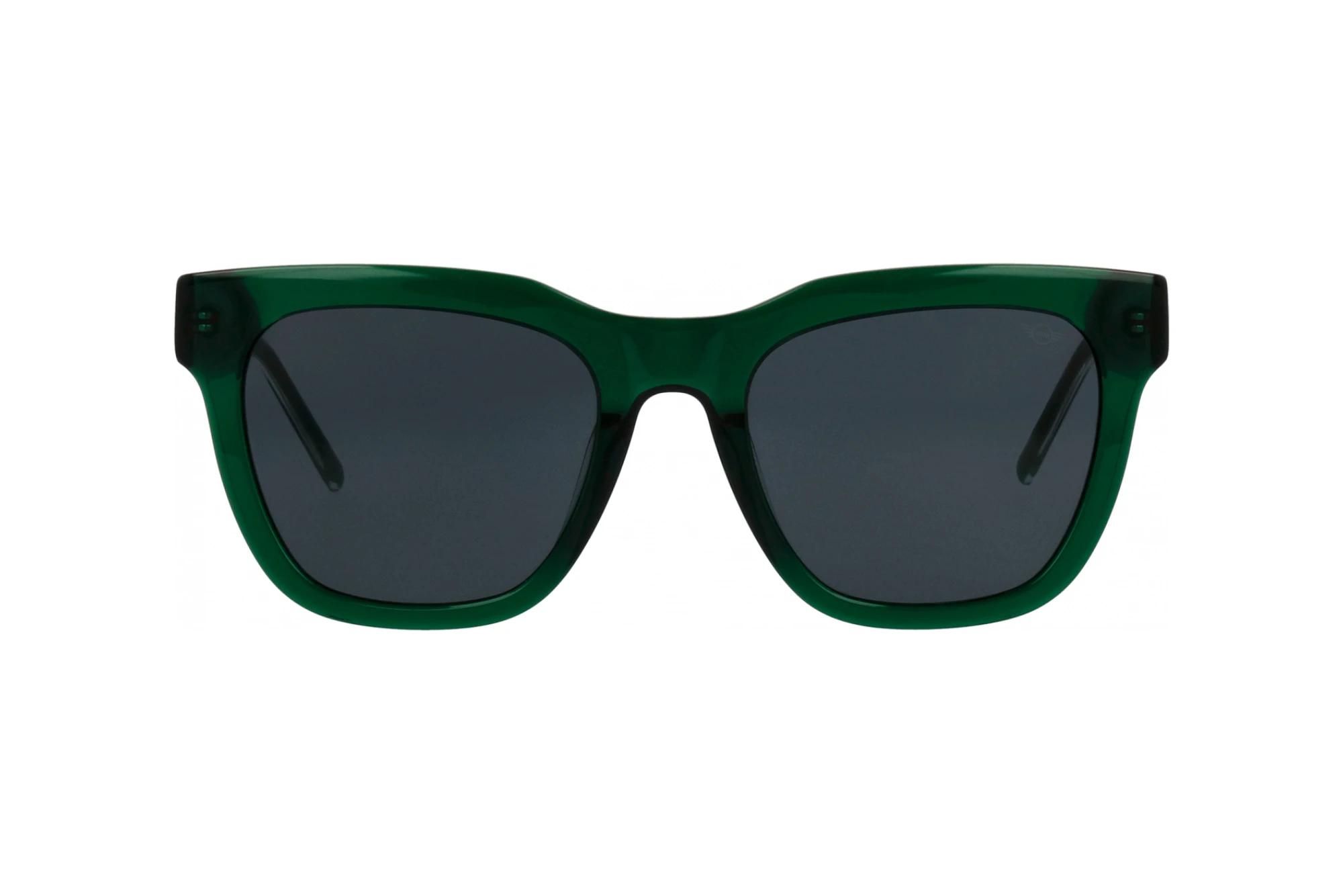 Vue de face MINI Eyewear MI 746018 (40)
