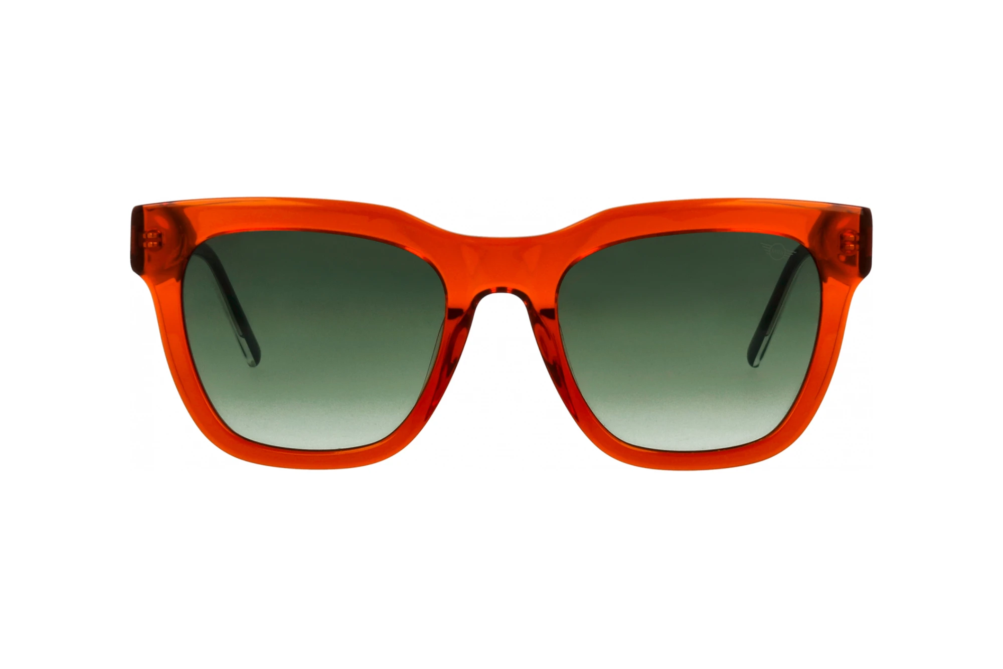 Vue de face MINI Eyewear MI 746018 (90)