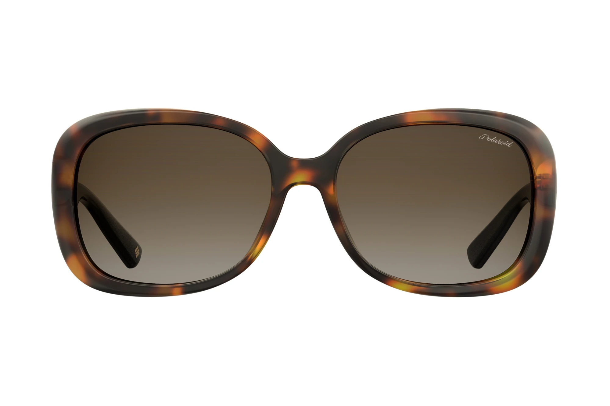 Vue de face Polaroid PLD 4069/G/S/X (086/LA)