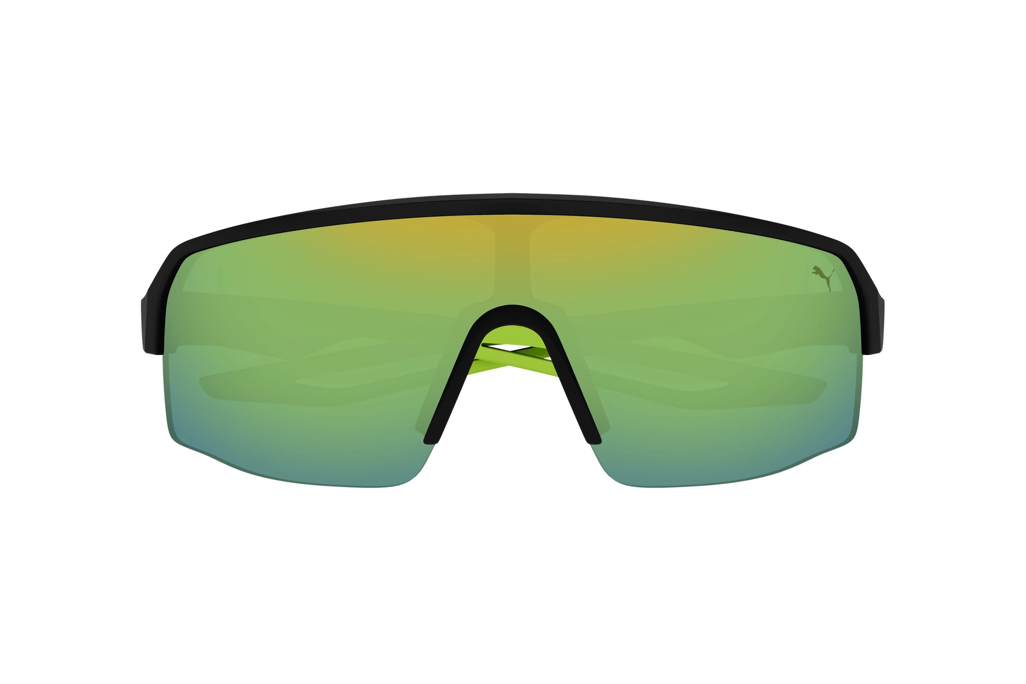 Vue de face Puma PU0399S (002)