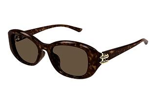 Alexander McQueen AM0470SA 002 HAVANA