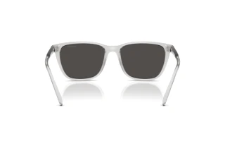 Vue arrière Arnette CORTEX (AN4291 - 285887)