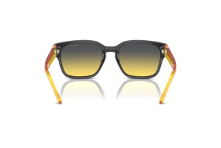 Vue arrière Arnette HAMIE (AN4325 - 27862Q)